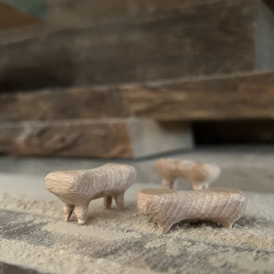 ハシオブリ　5匹