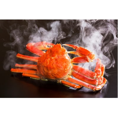 『鳥取の冬の味覚の王者』(ボイル)松葉がに　2枚　【年内配送】【配送不可地域：離島・北海道・沖縄県・東北・関東・信越、北陸・東海・九州】