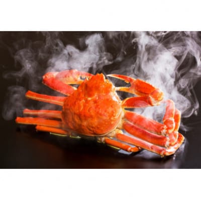 『鳥取の冬の味覚の王者』(ボイル)松葉がに　2枚　【2026年1月以降順次発送】【配送不可地域：離島・北海道・沖縄県・東北・関東・信越、北陸・東海・九州】