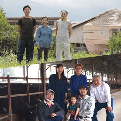 【化粧箱入り】和牛セレブの鳥取和牛5種食べ比べ500g【配送不可地域：離島】