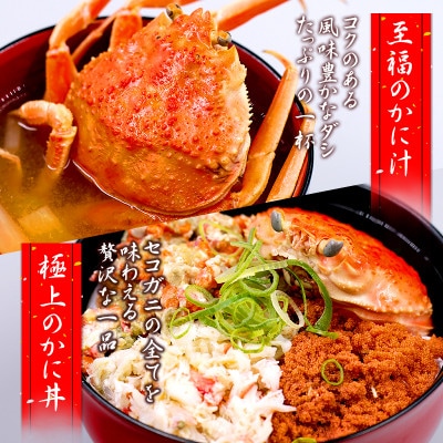 【新物とれたて】せこがに セイコガニ 活生 姿 約3kg 15～24枚 松葉ガニのメス 鳥取県【配送不可地域：離島・北海道・沖縄県・東北・信越、北陸】