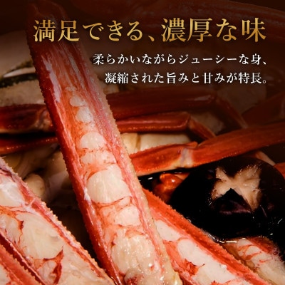 【蟹セレブ】ズワイガニ(紅ズワイガニ)特大2杯(600～700g)【配送不可地域：離島・北海道・沖縄県・東北・信越、北陸】