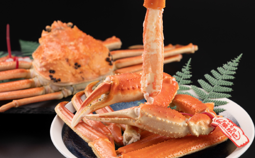 鳥取県産タグ付きボイル松葉ガニ1枚(900g～1kg)【配送不可地域：離島・北海道・沖縄県】