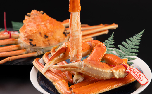 鳥取県産　タグ付きボイル松葉ガニ中1枚(600g～700g)【配送不可地域：離島・北海道・沖縄県】