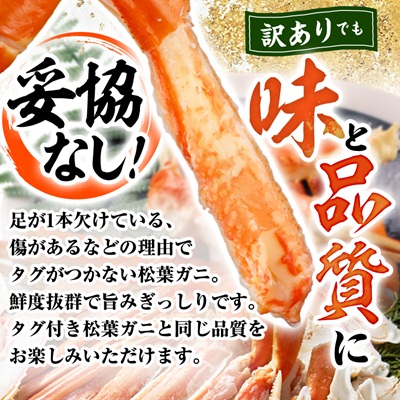 鳥取県産ボイル松葉ガニ訳あり!　2枚セット【配送不可地域：離島・北海道・沖縄県】