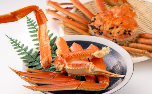 鳥取県産　厳選!ボイル足折松葉ガニ中1枚(600～700gサイズ)【配送不可地域：離島・北海道・沖縄県】