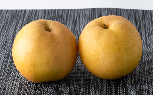 新甘泉【配送不可地域：離島・北海道・沖縄県】