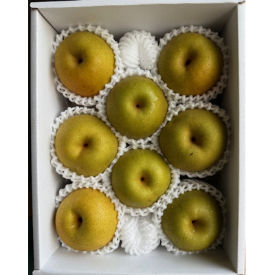 新甘泉　ハーフ箱【配送不可地域：離島・北海道・沖縄県】