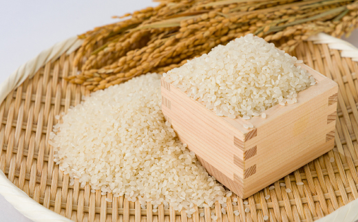 【食味鑑定士厳選】鳥取県産 コシヒカリ30kg(5kg×6袋) 精米