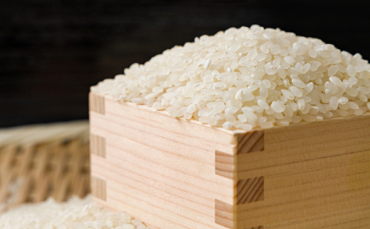 【食味鑑定士厳選】鳥取県産 きぬむすめ30kg(5kg×6袋) 精米