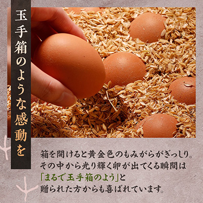 天美卵もみがら詰め30個