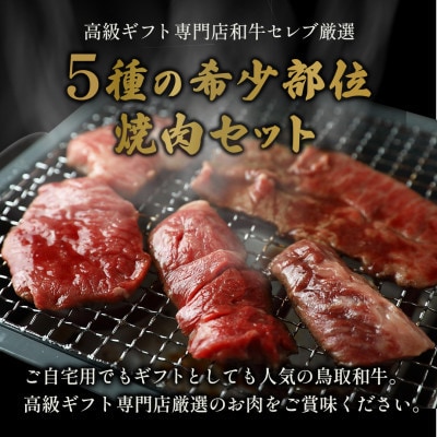 【化粧箱入り】和牛セレブの鳥取和牛5種食べ比べ500g【配送不可地域：離島】