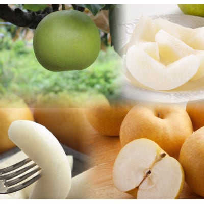 【訳あり】鳥取県産旬の梨セット 4kg【配送不可地域：離島・北海道・沖縄県】