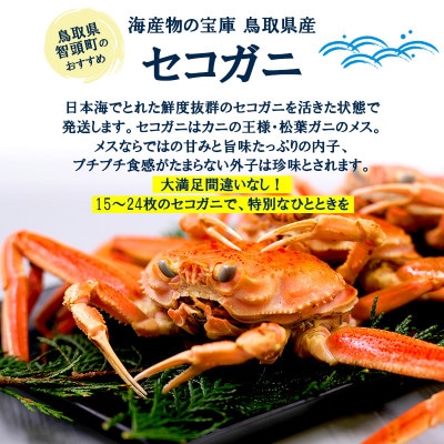 【新物とれたて】せこがに セイコガニ 活生 姿 約3kg 15～24枚 松葉ガニのメス 鳥取県【配送不可地域：離島・北海道・沖縄県・東北・信越、北陸】