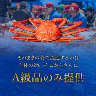 【蟹セレブ】ズワイガニ(紅ズワイガニ)特大2杯(600～700g)【配送不可地域：離島・北海道・沖縄県・東北・信越、北陸】