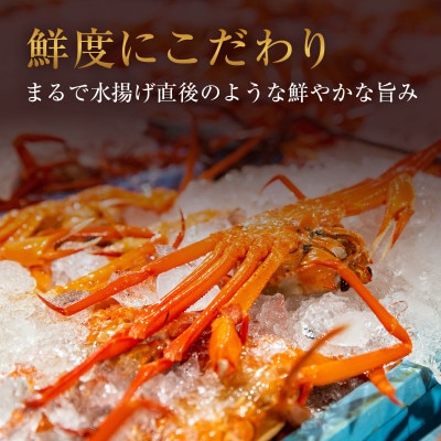 【蟹セレブ】カット生紅ずわい蟹2kg【配送不可地域：離島】