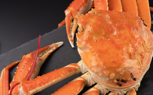 鳥取県産　タグ付きボイル松葉ガニ大1枚(800～900g)【配送不可地域：離島・北海道・沖縄県】