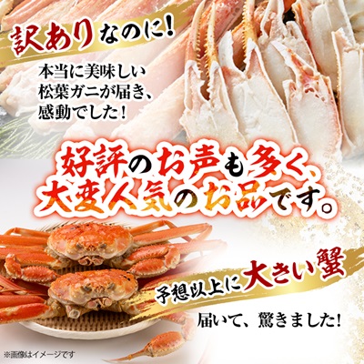 鳥取県産ボイル松葉ガニ訳あり!　2枚セット【配送不可地域：離島・北海道・沖縄県】