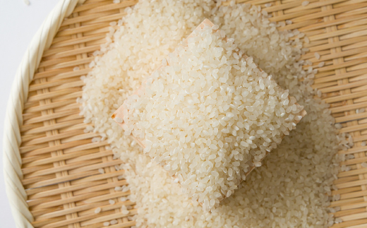 【食味鑑定士厳選】鳥取県産 コシヒカリ10kg(5kg×2袋) 精米