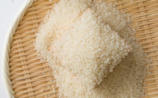 【食味鑑定士厳選】鳥取県産 コシヒカリ20kg(5kg×4袋) 精米