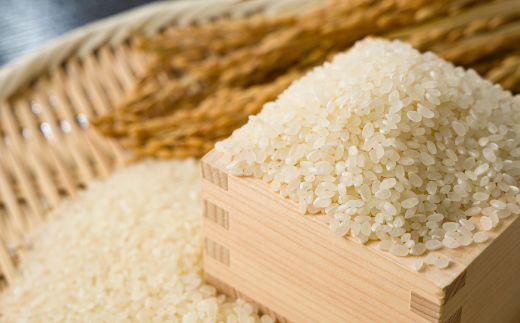 【食味鑑定士厳選】鳥取県産 きぬむすめ5kg(5kg×1袋) 精米