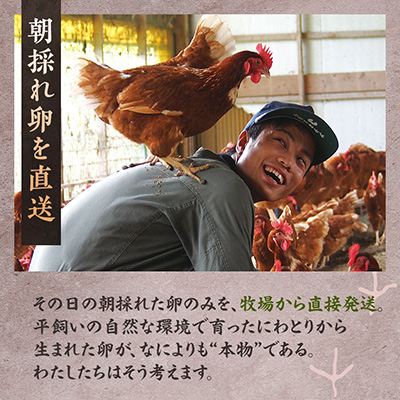 天美卵もみがら詰め30個