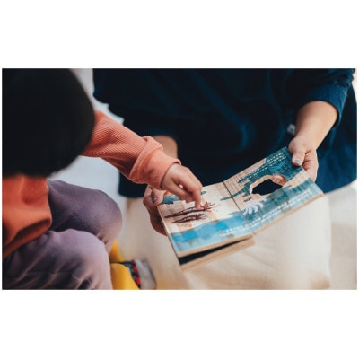 木のえほん9巻:うみのそこ