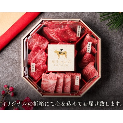 【化粧箱入り】和牛セレブの鳥取和牛5種食べ比べ500g【配送不可地域：離島】