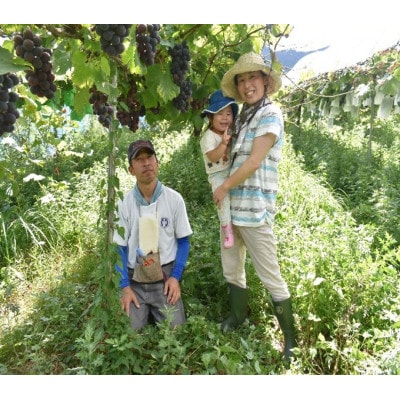 笑顔になる干し葡萄【完熟シャインマスカット】【色々ぶどうミックス】瓶詰セット