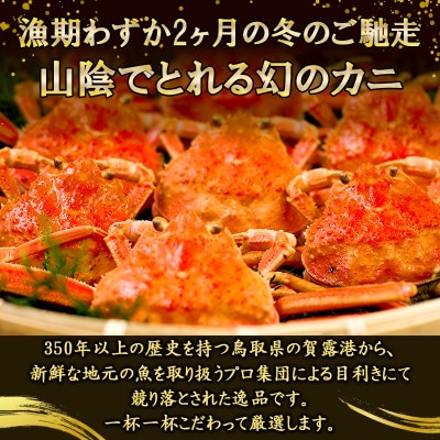 【新物とれたて】せこがに セイコガニ 活生 姿 約3kg 15～24枚 松葉ガニのメス 鳥取県【配送不可地域：離島・北海道・沖縄県・東北・信越、北陸】