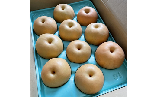 新甘泉【配送不可地域：離島・北海道・沖縄県】