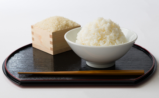 【食味鑑定士厳選】鳥取県産 コシヒカリ10kg(5kg×2袋) 精米