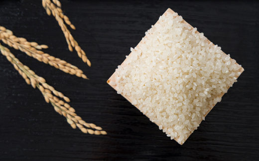 【食味鑑定士厳選】鳥取県産 きぬむすめ15kg(5kg×3袋) 精米