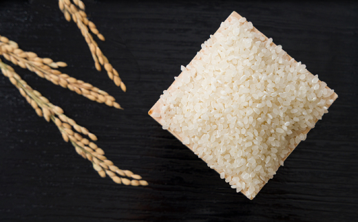 【食味鑑定士厳選】鳥取県産 きぬむすめ30kg(5kg×6袋) 精米