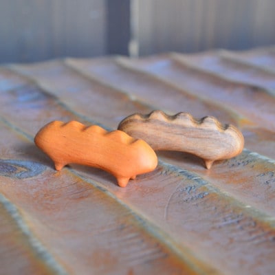 ハシオブリ　5匹