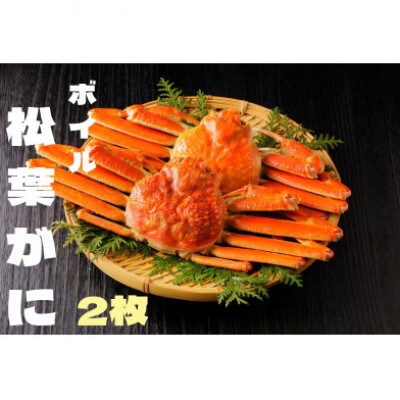 『鳥取の冬の味覚の王者』(ボイル)松葉がに　2枚　【2026年1月以降順次発送】【配送不可地域：離島・北海道・沖縄県・東北・関東・信越、北陸・東海・九州】