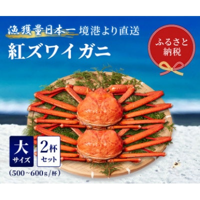 【蟹セレブ】ズワイガニ(紅ズワイガニ)大2杯セット(500～600g×2)【配送不可地域：離島・北海道・沖縄県・東北・関東・信越、北陸・東海・九州】