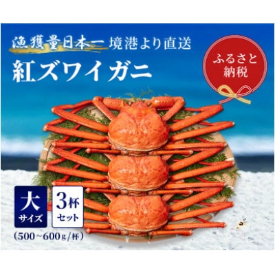 【蟹セレブ】ズワイガニ(紅ズワイガニ)大3杯セット(500～600g×3)【配送不可地域：離島・北海道・沖縄県・東北・関東・信越、北陸・東海・九州】