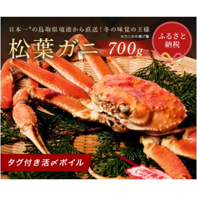 【蟹セレブ】タグ付き活〆ボイル・松葉がに(中・700g前後)【配送不可地域：離島・北海道・沖縄県・東北・関東・信越、北陸・東海・九州】