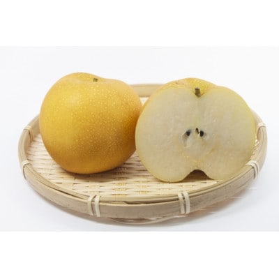 新甘泉　ハーフ箱【配送不可地域：離島・北海道・沖縄県】