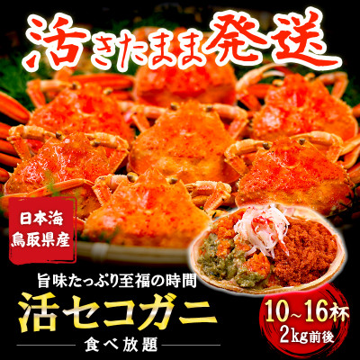 【新物とれたて】せこがに セイコガニ 活生 姿 約2kg 10～16枚 松葉ガニのメス 鳥取県【配送不可地域：離島・北海道・沖縄県・東北・信越、北陸】