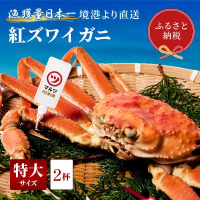 【蟹セレブ】ズワイガニ(紅ズワイガニ)特大2杯(600～700g)【配送不可地域：離島・北海道・沖縄県・東北・信越、北陸】