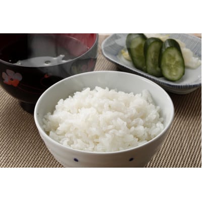 【食味鑑定士厳選】鳥取県産 きぬむすめ30kg(5kg×6袋) 精米