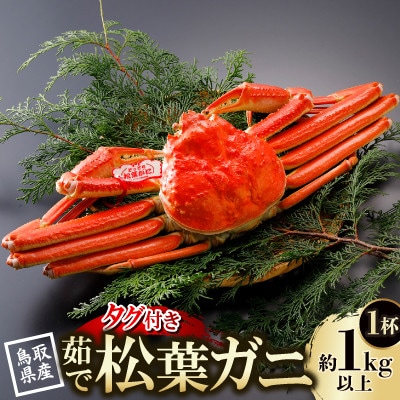 【先行予約】鳥取県産 タグ付き 茹松葉がに 1kg以上×1杯(中村商店)2026年1月末より順次発送【配送不可地域：離島・北海道・沖縄県・東北・信越、北陸】