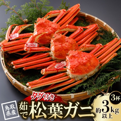【先行予約】鳥取県産 タグ付き 茹松葉がに 1kg以上×3杯(中村商店)25年12月・26年1月発送【配送不可地域：離島・北海道・沖縄県・東北・信越、北陸】