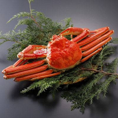 【先行予約】鳥取県産 タグ付き 茹 松葉がに 700g×1杯(中村商店)25年12月・26年1月発送【配送不可地域：離島・北海道・沖縄県・東北・信越、北陸】