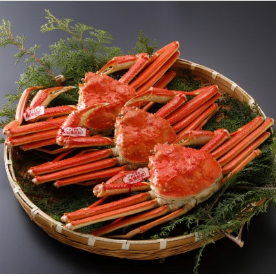 【先行予約】鳥取県産 タグ付き 茹 松葉がに 700g×3杯(中村商店)25年12月・26年1月発送【配送不可地域：離島・北海道・沖縄県・東北・信越、北陸】