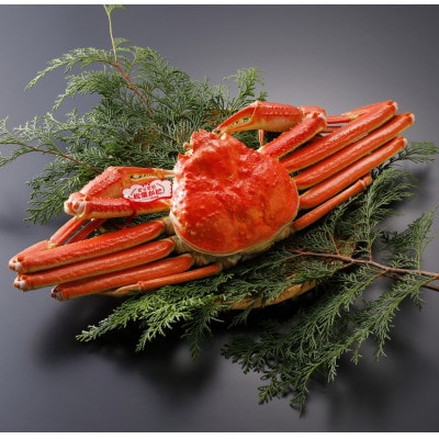 【先行予約】鳥取県産 タグ付き 茹 松葉がに 500g×1杯(中村商店)25年12月・26年1月発送【配送不可地域：離島・北海道・沖縄県・東北・信越、北陸】