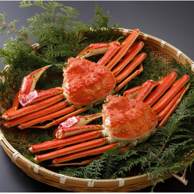 【先行予約】鳥取県産 タグ付き 茹 松葉がに 500g×2杯(中村商店)25年12月・26年1月発送【配送不可地域：離島・北海道・沖縄県・東北・信越、北陸】