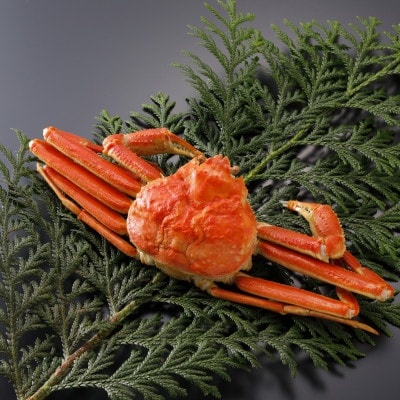 【先行予約】鳥取県産 訳あり 茹 松葉がに 700g×1杯(中村商店)25年12月・26年1月発送【配送不可地域：離島・北海道・沖縄県・東北・信越、北陸】